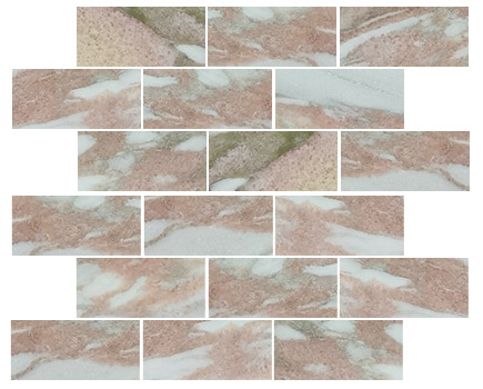 Rectangle Floor Rosa Stone mosaic Tile