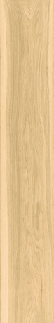 floor Natural Wood look Ceramic tiles