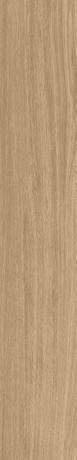 Living Room Natural Wood look Ceramic tiles